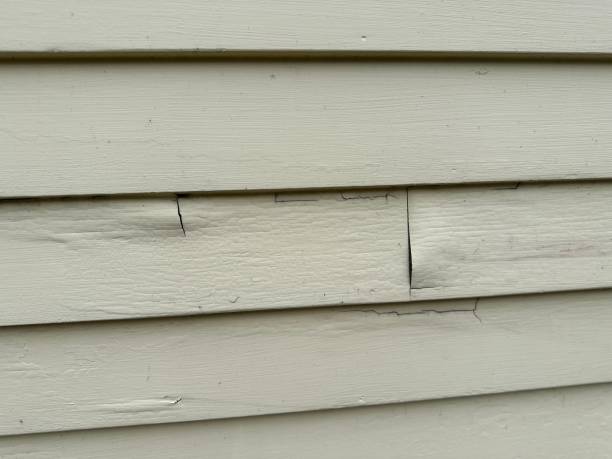 Best Residential Vinyl Siding Installation  in USA